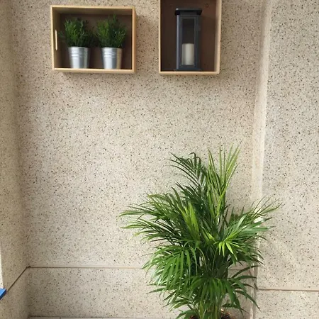 Valencia/mare Nostrum *